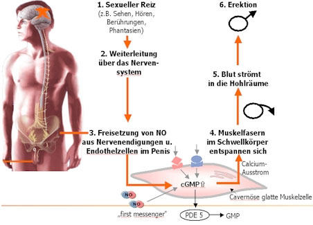 Kamagra ohne zollprobleme