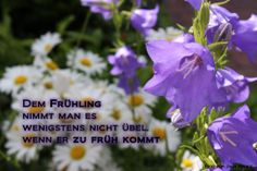 Levitra bei vorzeitigem samenerguss