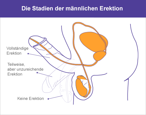 ① VIAGRA (Sildenafil), CIALIS (Tadalafil),LEVITRA (Vardenafil) ONLINE KAUFEN ① !