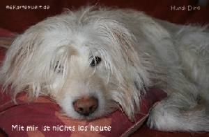 Viagra heimlich ins essen